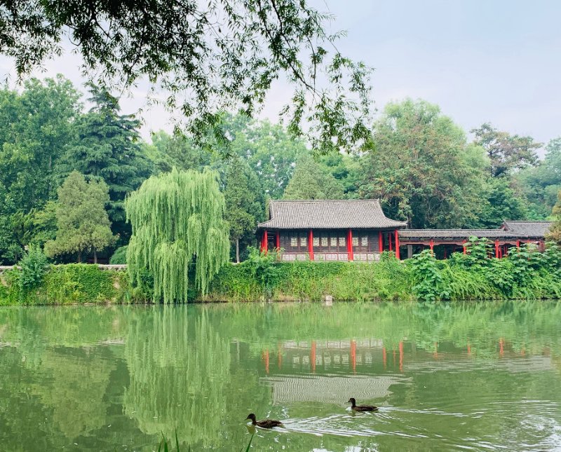 青州十景|阳溪晚钓，别有一番情趣