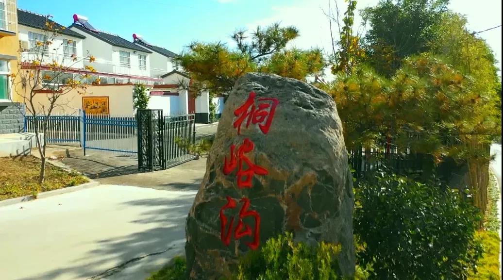 青州弥河镇桐峪沟村上cctv央视了报道近半个小时