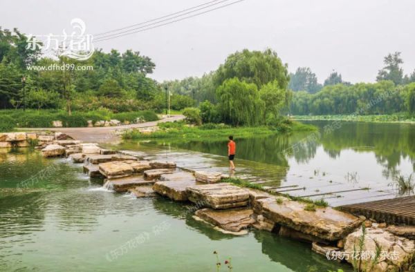 图片 6.jpg