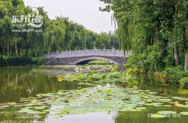 图片 8.jpg