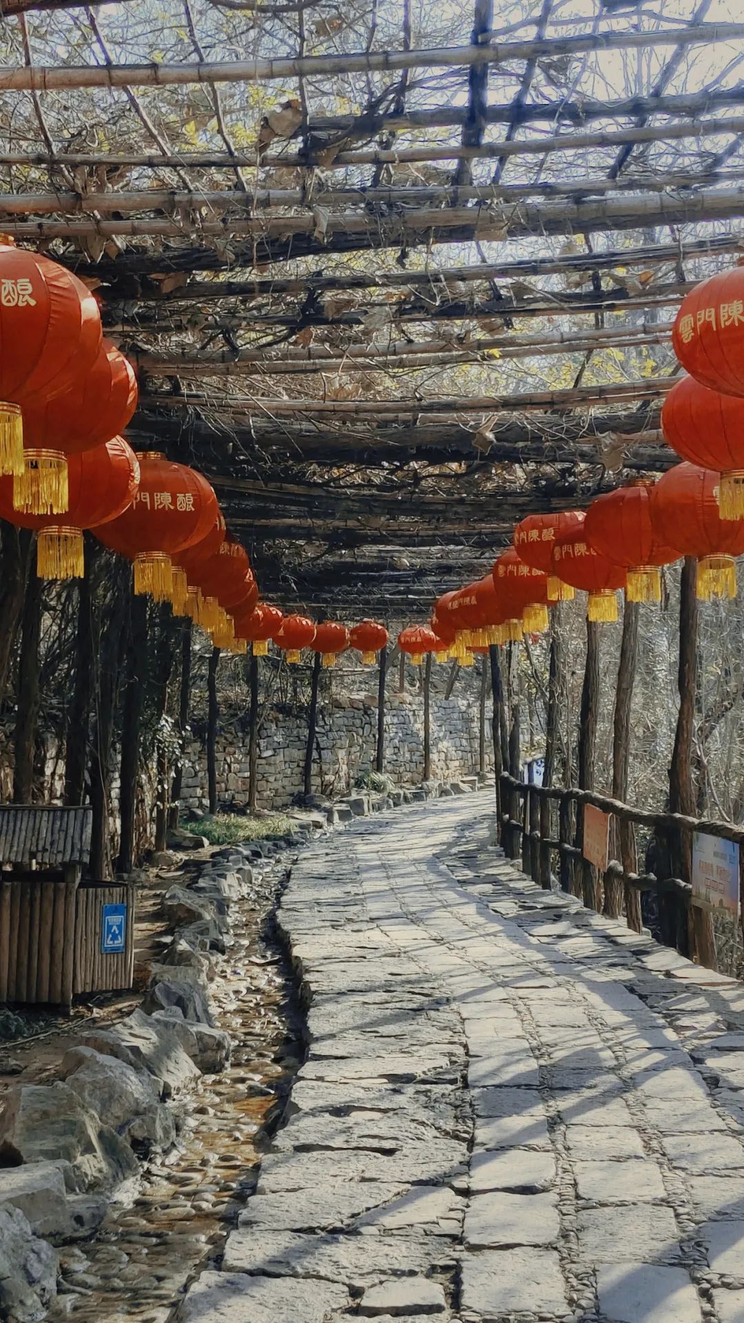 青州井塘古村.jpg