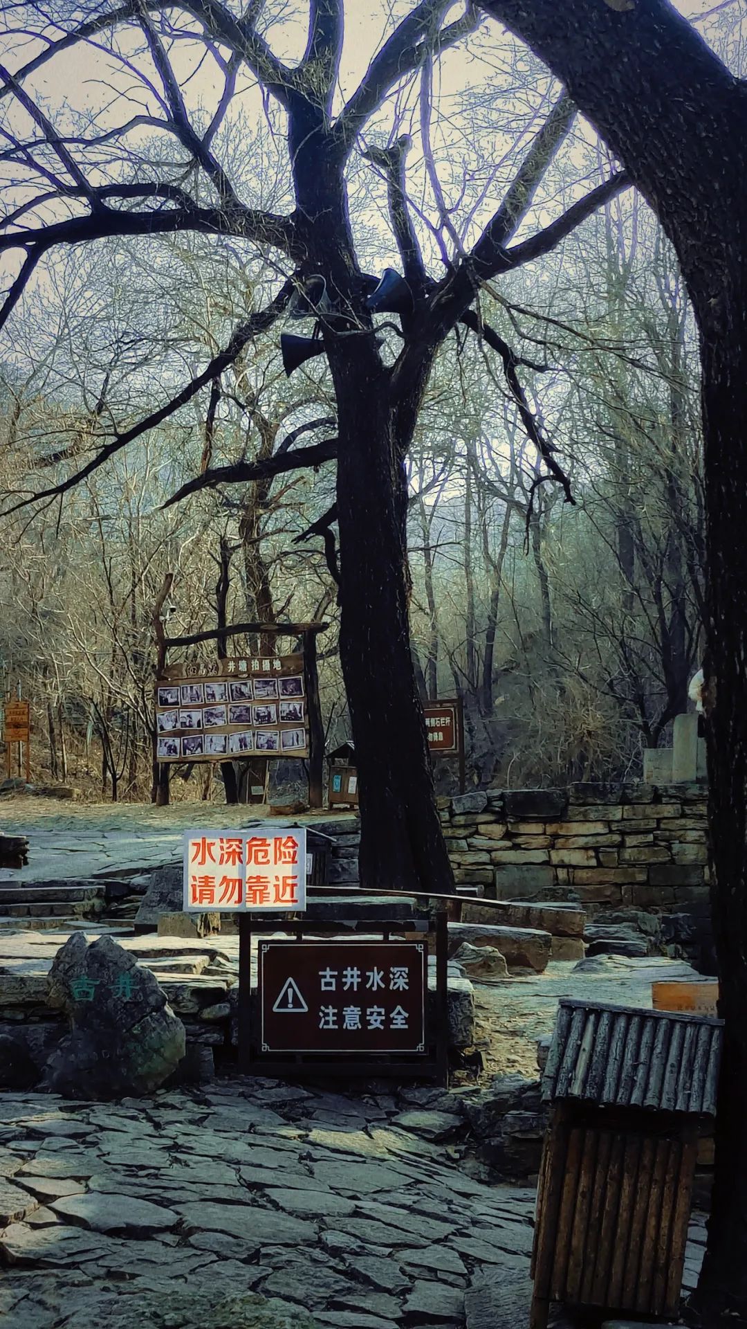 青州井塘古村.jpg