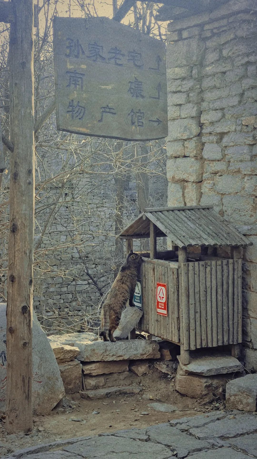 青州井塘古村.jpg