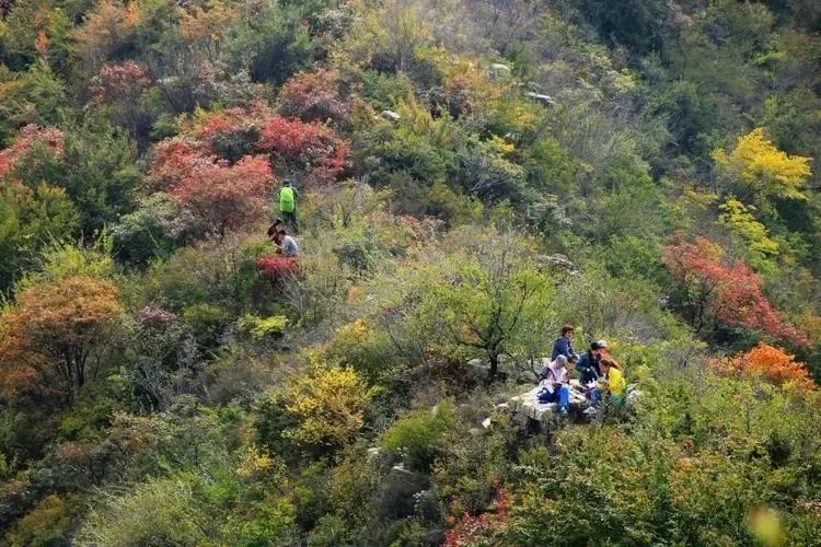 青州香山