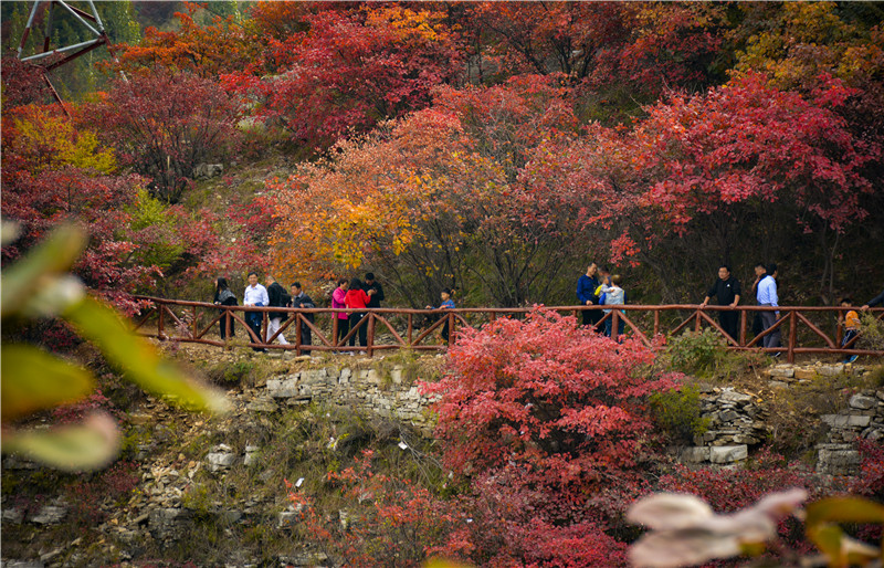 圣峪口村