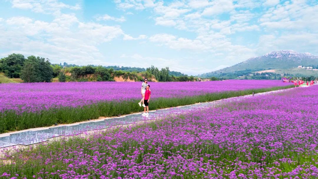 青州杏花村