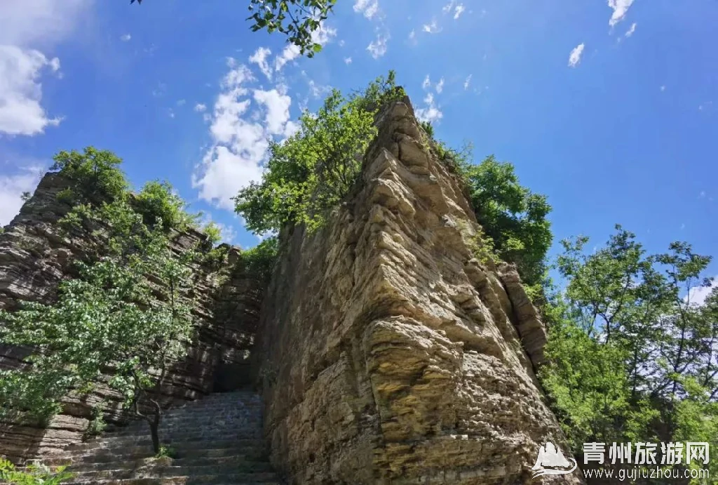 青州黄花坡村