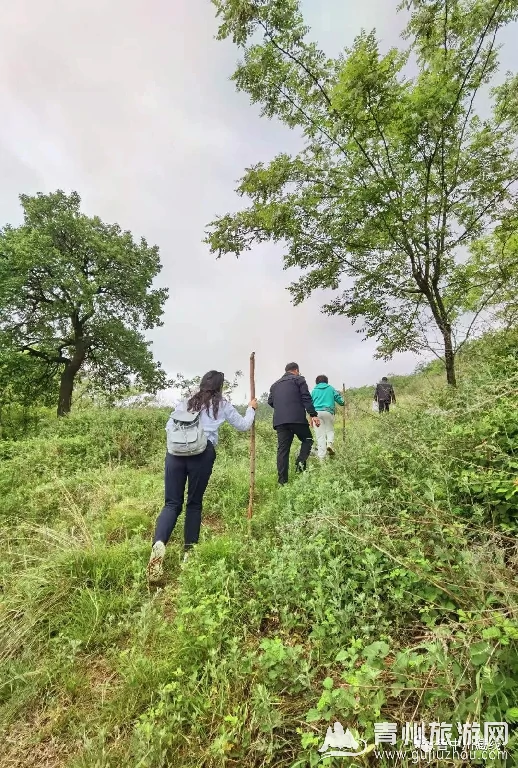 青州黄花坡村