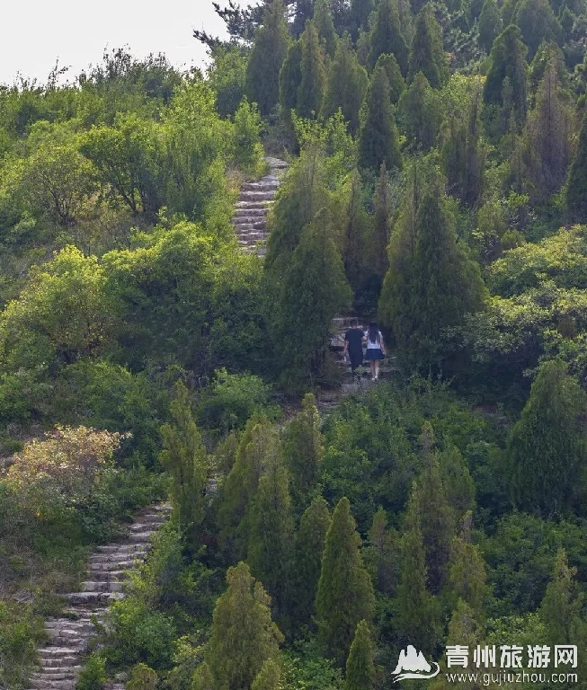 青州仰天山