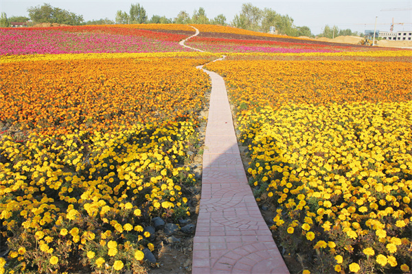 花好月圆景区.jpg